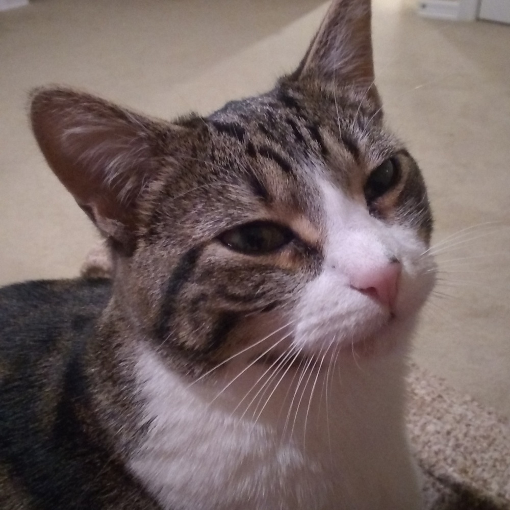 Meet your Posher, Chusita